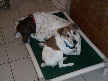 Abby and Norma