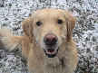 Abby
