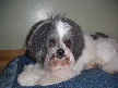 Abby