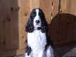 Betty