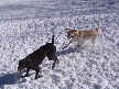 Chipper and Addie