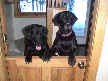 Crocker and Emma