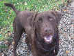 Duncan