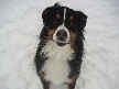 Gunther