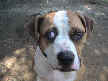 Jackson