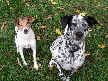 Joey and Molly