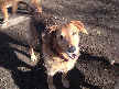 Maggie