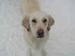 Molly