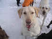 Murphy