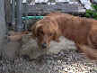 Murphy