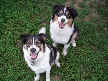 Nellie and Layla