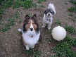 Owen and Coco