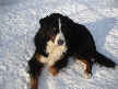 Picabo