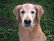 Riley