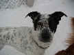 Spike