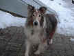 Talisker
