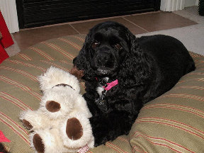 Mandy's favorite toy